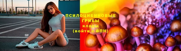 ГАЛЛЮЦИНОГЕННЫЕ ГРИБЫ Армянск