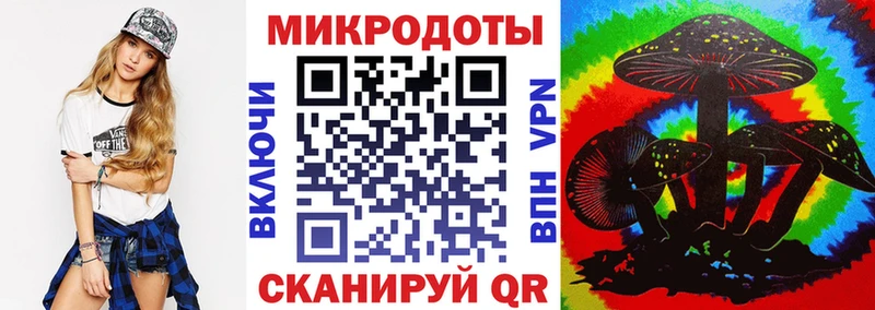 Галлюциногенные грибы MAGIC MUSHROOMS купить закладку Кыштым