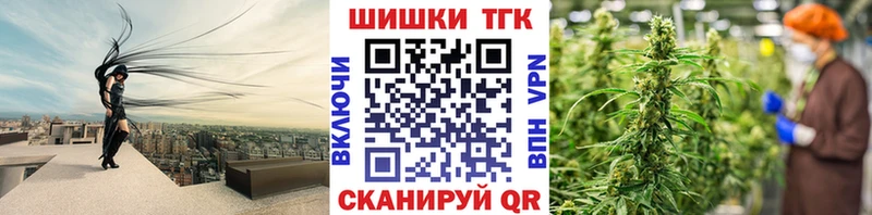 Канабис конопля Кыштым